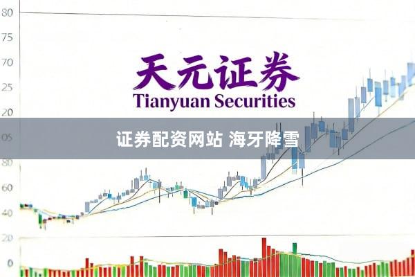 证券配资网站 海牙降雪