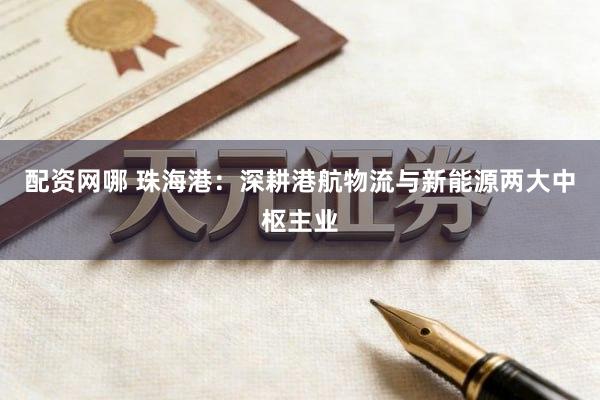配资网哪 珠海港：深耕港航物流与新能源两大中枢主业