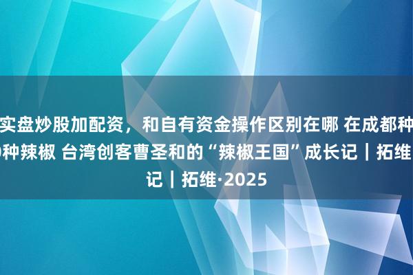 实盘炒股加配资，和自有资金操作区别在哪 在成都种出100种辣椒 台湾创客曹圣和的“辣椒王国”成长记｜拓维·2025
