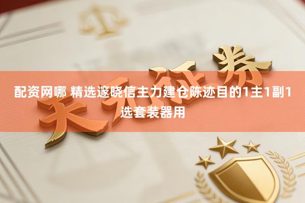 配资网哪 精选邃晓信主力建仓陈迹目的1主1副1选套装器用