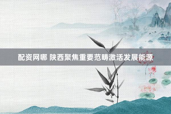 配资网哪 陕西聚焦重要范畴激活发展能源