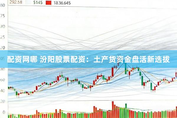 配资网哪 汾阳股票配资：土产货资金盘活新选拔